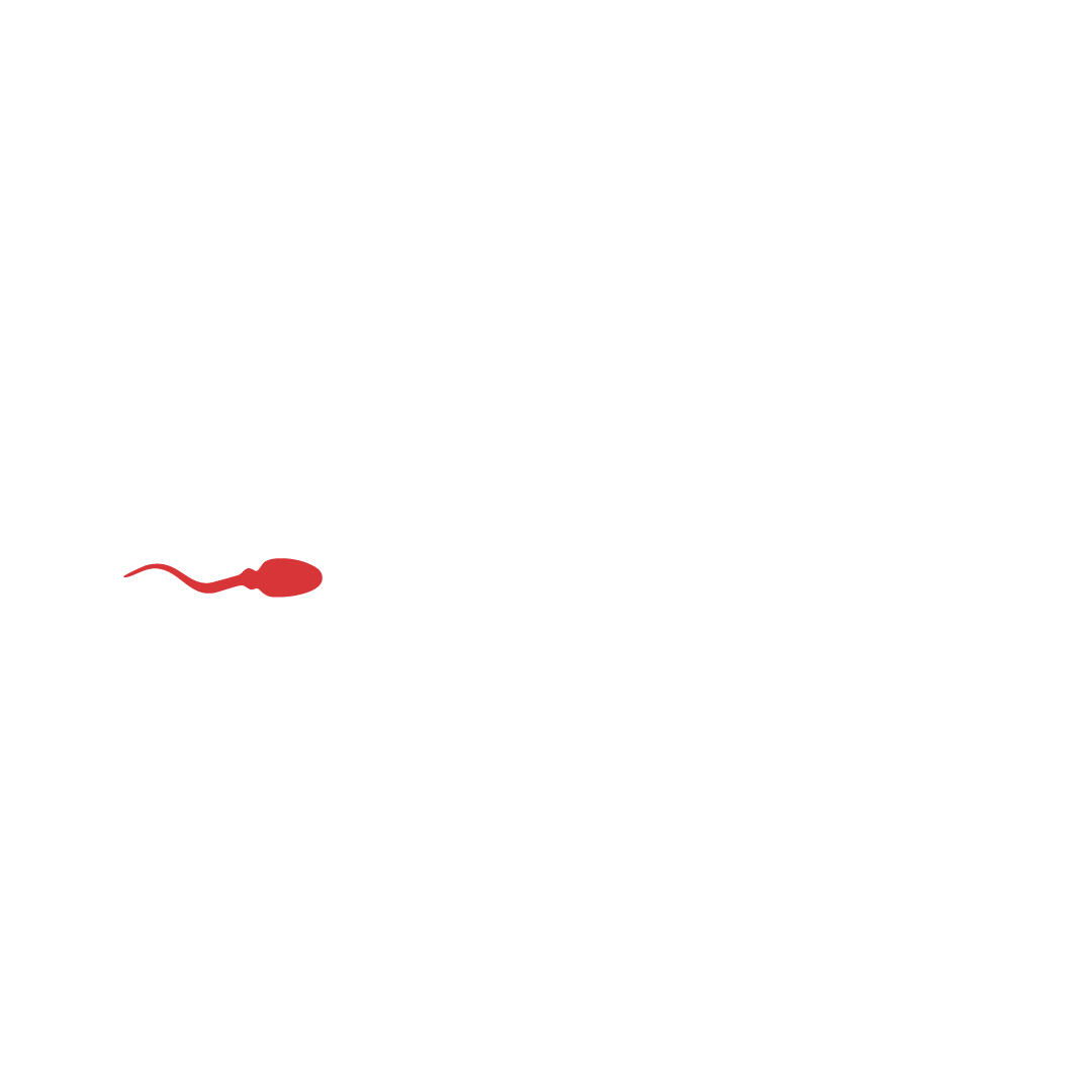 McQueer Studio